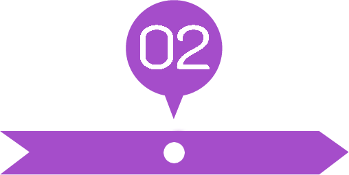 process 02 purple