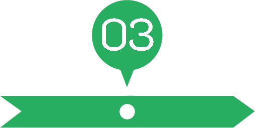 process 03 green