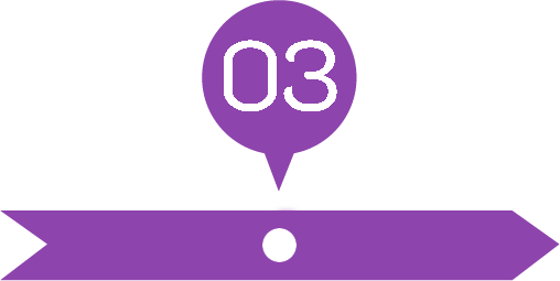 process 03 purple