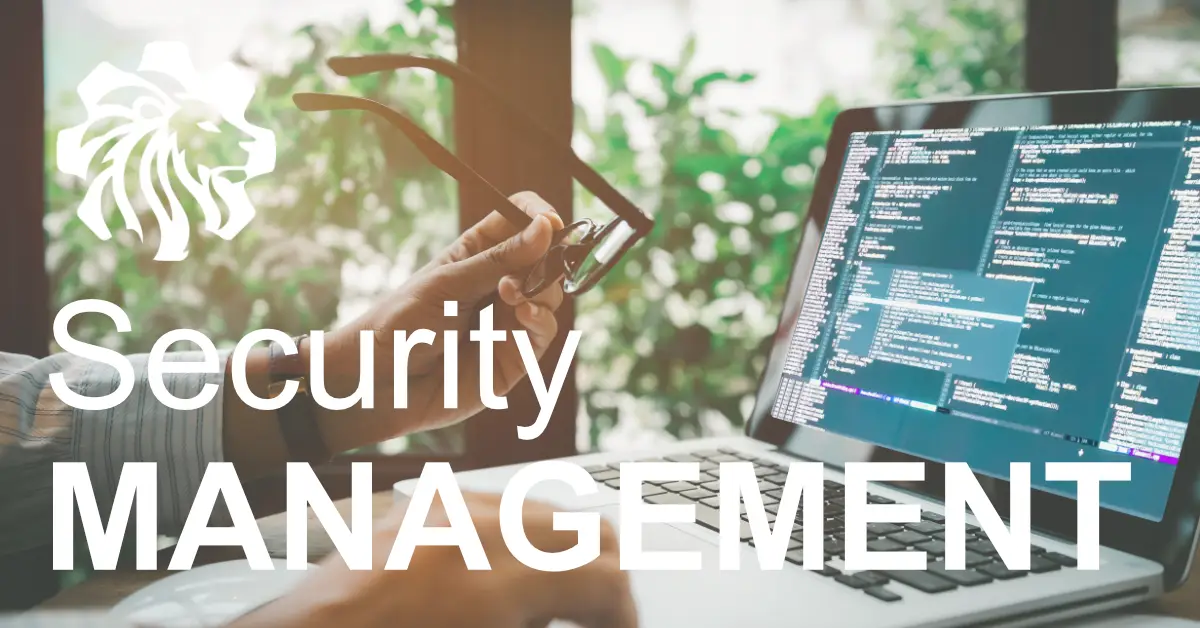 Security expert reviewing protocols to ensure website protection measures are in place."